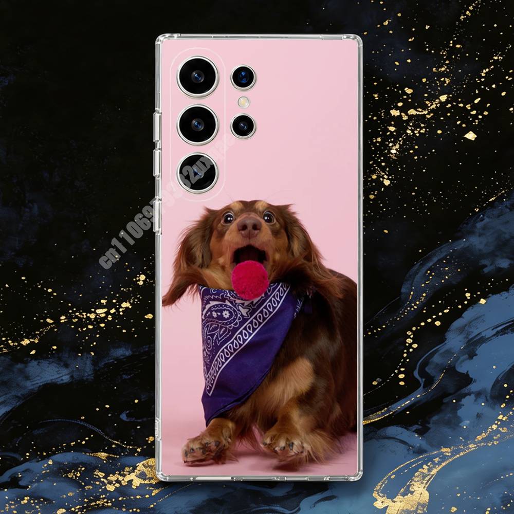 Casing Ponsel Fotografi Anjing - Photography Quotes ulasan dan harga